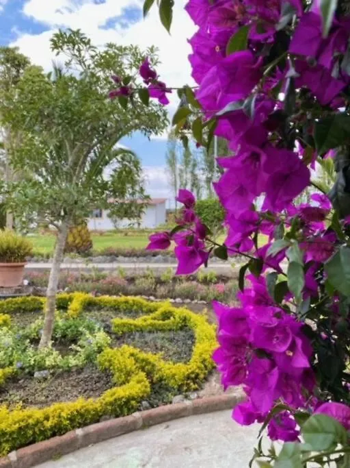 Piscina Caliente, Reuniones De Amigos, Familias Y Fiestas Villa Quito