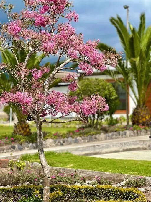 Piscina Caliente, Reuniones De Amigos, Familias Y Fiestas Villa Quito Holiday home