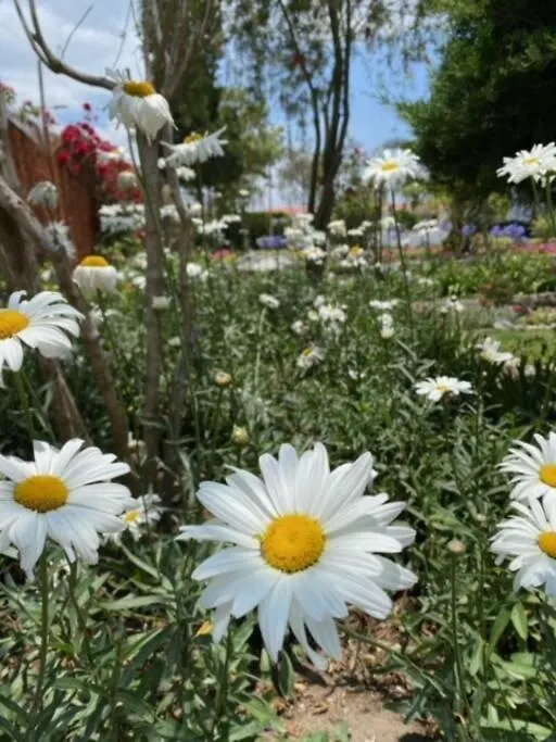 Vila Piscina Caliente, Reuniones De Amigos, Familias Y Fiestas Quito 0*,  Ekvádor